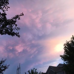 Meet your Posher, Sophie